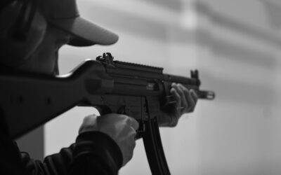 Beyond the Bodyguard